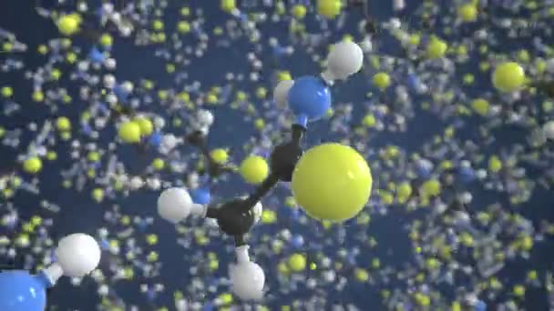 Молекула тиоацетамида, научная молекулярная модель, трехмерная анимация — стоковое видео
