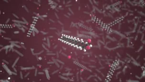 Stearinsyramolekyl gjord med bollar, isolerad molekylär modell. Looping 3D-animering eller rörelse bakgrund — Stockvideo