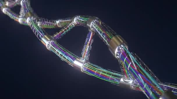 Hi-tech molecola di DNA concettuale fatta con molti fili, robotica correlati loop animazione 3D — Video Stock
