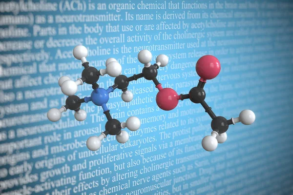 Wissenschaftliches Molekularmodell für Acetylcholin, 3D-Rendering — Stockfoto