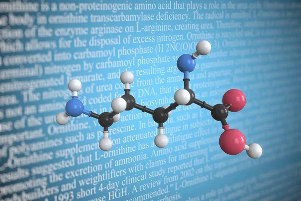 Ornithines wissenschaftliches Molekularmodell, 3D-Rendering — Stockfoto