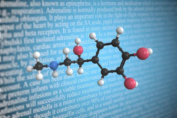 Adrenaline scientific molecular model, 3D rendering