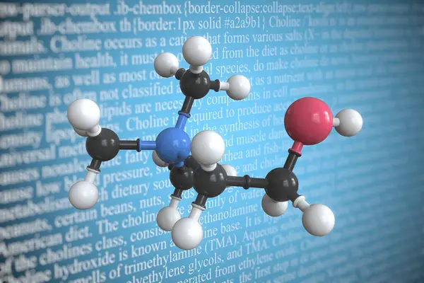 Choline scientific molecular model, 3D rendering
