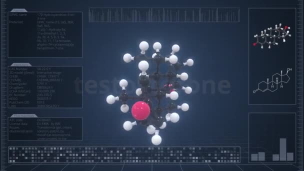 Молекула тестостерона с описанием на экране компьютера, зацикленная 3D анимация — стоковое видео