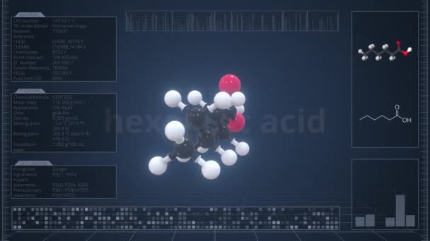 Molekyl av hexansyra med infografik på datorskärmen, loopable 3d animation — Stockvideo