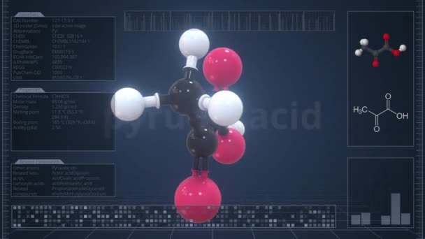 Cząsteczka kwasu pirogronowego z opisem na ekranie komputera, pętla animacji 3D — Wideo stockowe