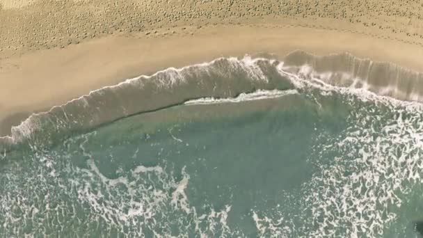 Costa Rica parole rivelate con l'ombra di un aereo volante sulla spiaggia — Video Stock