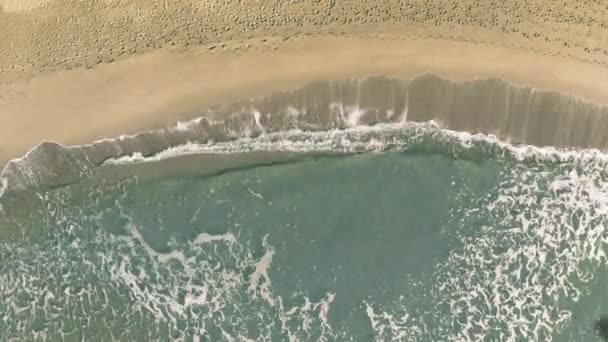 Galapagos woord wordt onthuld met de schaduw van een vliegend vliegtuig op het strand — Stockvideo