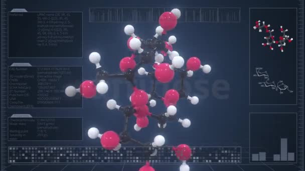 Raffinose molecule with description on the computer screen, loopable 3d animation — Stock Video