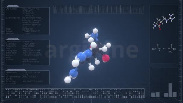 Молекула аргинина с инфографикой на мониторе компьютера, зацикленная 3D анимация — стоковое видео