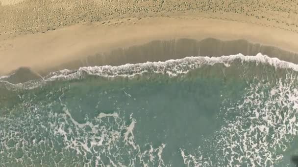 Bora Bora texto revelado con la sombra de un avión comercial volador en la playa, vista aérea de arriba hacia abajo — Vídeo de stock