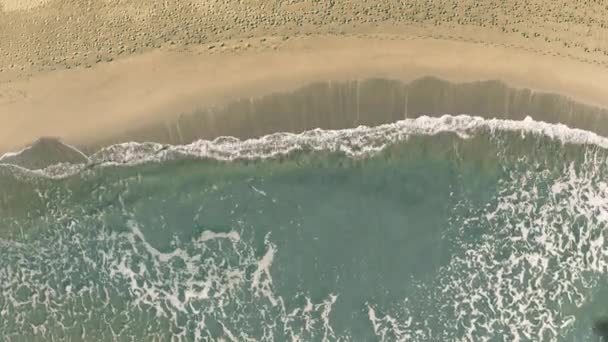 Australien text avslöjas med skuggan av en flygande kommersiellt plan på stranden, antenn top-down vy — Stockvideo