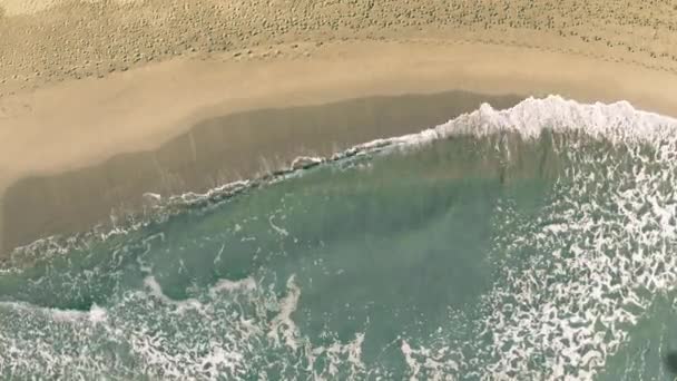 Sud Africa parola rivelata con l'ombra di un aeroplano volante sulla spiaggia — Video Stock