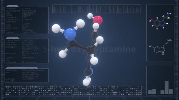5 hidroksitriptamin molekülü. Bilgisayar ekranında bilgi grafikleri var. Döngülü 3D animasyon. — Stok video