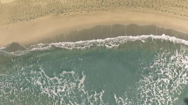 Nieuw-Zeelandse woorden worden onthuld met de schaduw van een vliegend vliegtuig op het strand — Stockvideo