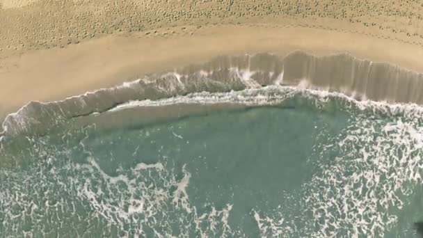 Taiwan parola rivelata con l'ombra di un aereo volante sulla spiaggia — Video Stock