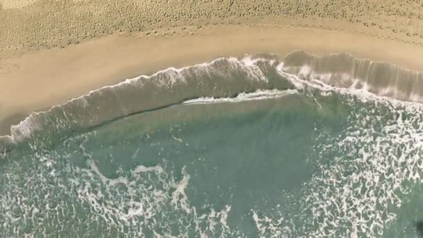 Ischia woord wordt onthuld met de schaduw van een vliegend vliegtuig op het strand — Stockvideo