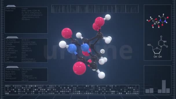 コンピュータモニター上のインフォグラフィックと尿素の分子,ループ可能な3Dアニメーション — ストック動画