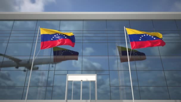 空港ターミナルにベネズエラの旅客機と旗を着陸 — ストック動画