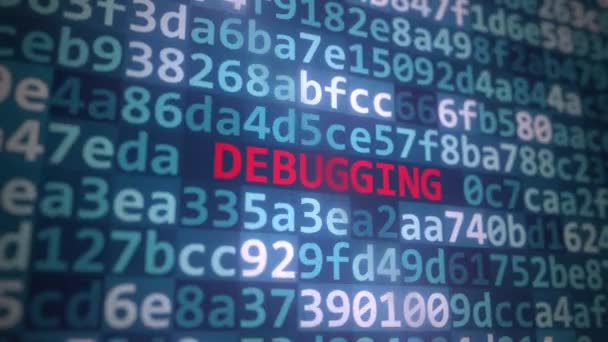 コンピュータディスプレイ上のコードとDEBUGGINGテキスト — ストック動画