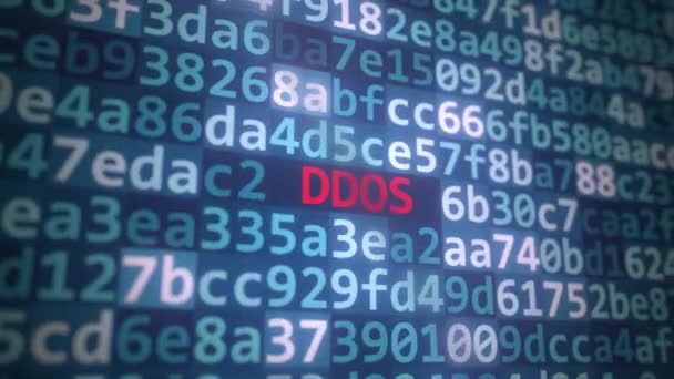 Código y texto DDOS en la pantalla del ordenador — Vídeo de stock