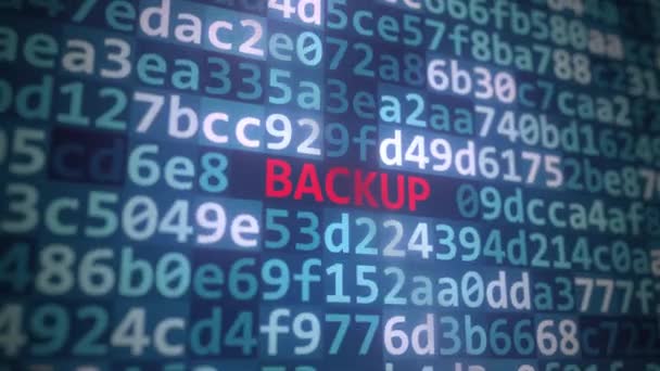 Текст и код программы BACKUP на экране компьютера — стоковое видео