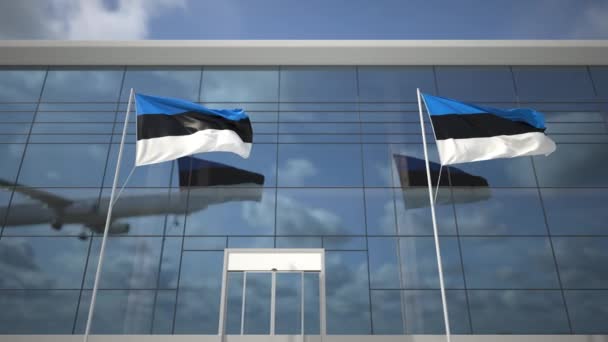 空港のエストニアの旗と着陸商用飛行機 — ストック動画