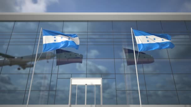 Waving Flags Airport Taking Airplane — Stock Video