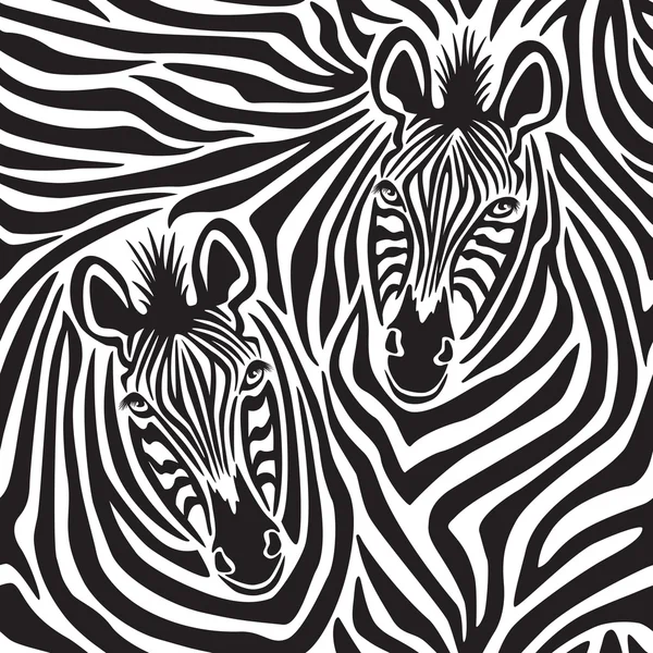 Zebrapärchen — Stockvektor