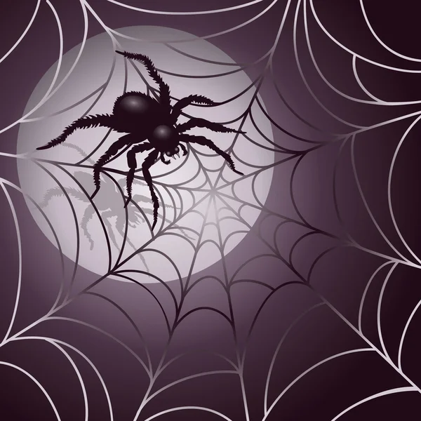 Moonlit Spider and Web — Stock Vector