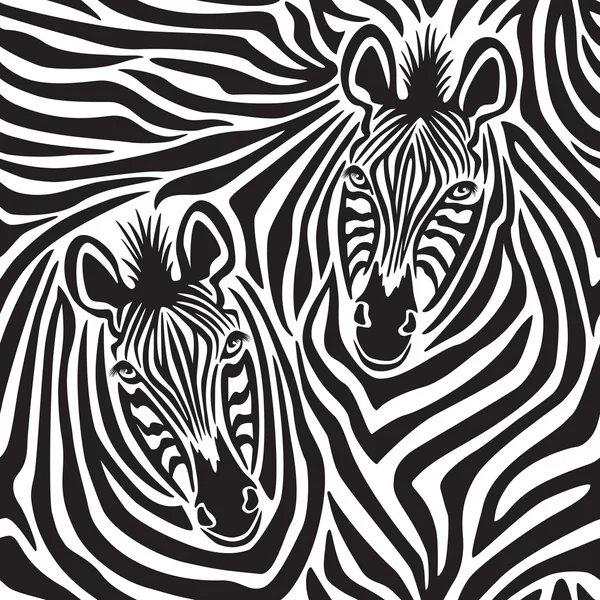 Zebra Couple Vector Graphics