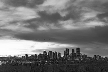 Şehir merkezi iş bölgesi Calgary Skyline geceleri
