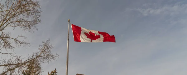 Bandiera nazionale canadese sventola nel centro di Calgary — Foto Stock