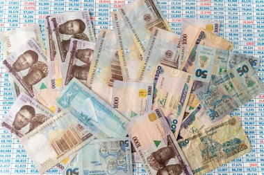 Nijerya Naira para koleksiyonu bir hesap tablosu üzerine notlar