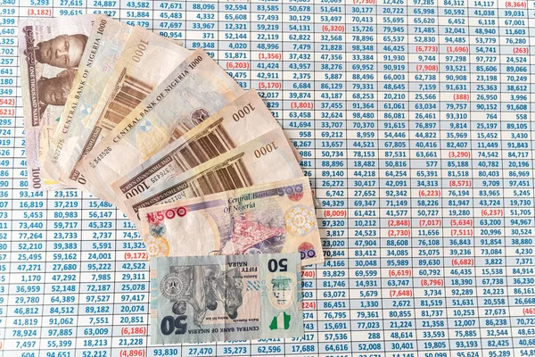 Nijerya Naira para koleksiyonu bir hesap tablosu üzerine notlar — Stok fotoğraf