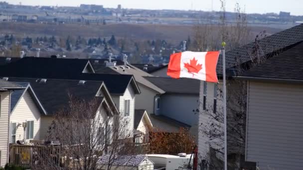Bandera de hoja de arce canadiense ondeando sobre suburbio residencial en Calgary — Vídeos de Stock