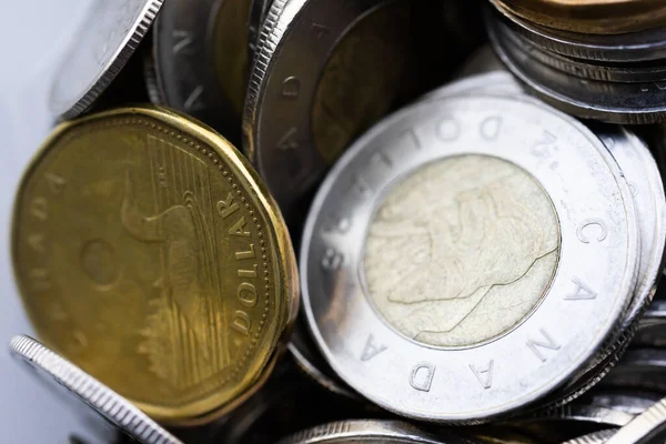 Bahşiş kavanozundaki madeni para yığını.