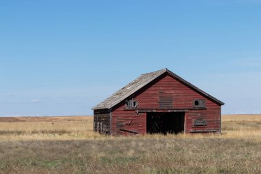 Alberta 'da terk edilmiş çiftlik evi ahırı.