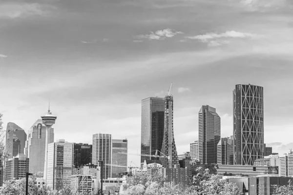 Calgary City επιχειρηματική περιοχή στο κέντρο της πόλης ουρανοξύστες κτίρια — Φωτογραφία Αρχείου