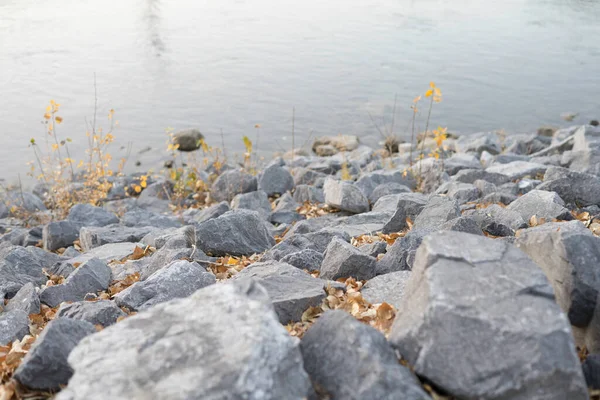 Nehir Kıyısında Taşlarla — Stok fotoğraf
