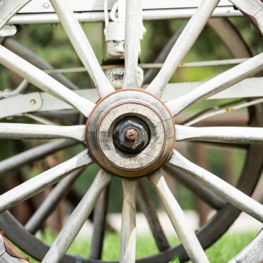 Chuck Wagon, Calgary izdiham bölgesinde.