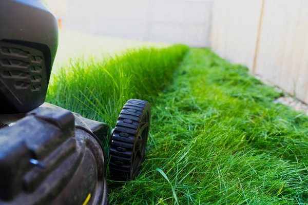 Lawnmower Gardening Back Yard — Stock Photo, Image