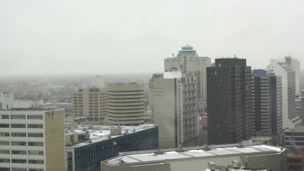 Downtown Winnipeg Skyline Snow Falling Winter — Stock Video