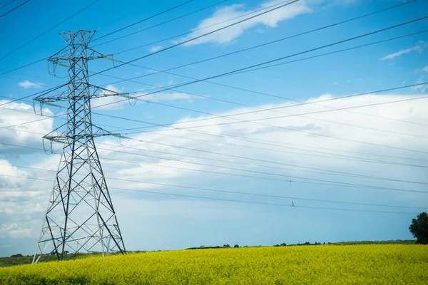 Pilones Energía Eléctrica Campo Canola Canadá —  Fotos de Stock