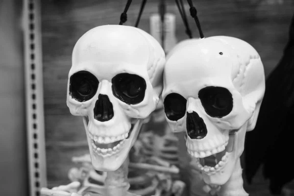 Skulls Halloween Decorations Display — Stock Photo, Image