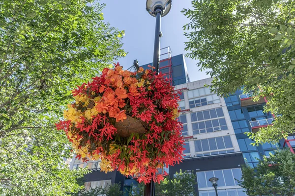 Calgary Şehir Merkezindeki Caddelerde Çiçek Sepetleri Asılı — Stok fotoğraf