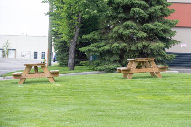 Çimlerin üzerinde park bankları