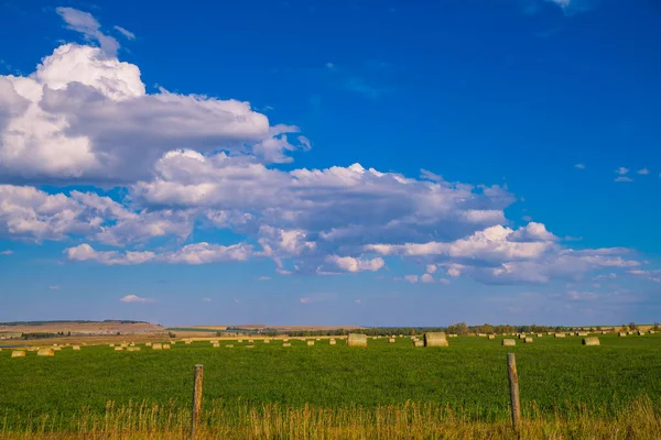 Farm Field Alberta Bales Hay — 图库照片