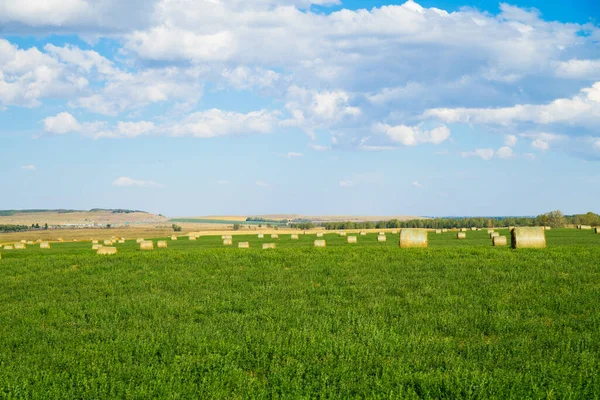 Farm Field Alberta Bales Hay — Stockfoto