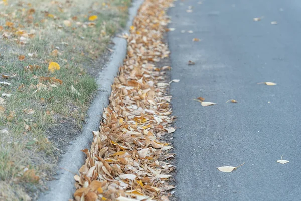 Brown Fall Feuilles Sur Une Rue Ville — Photo